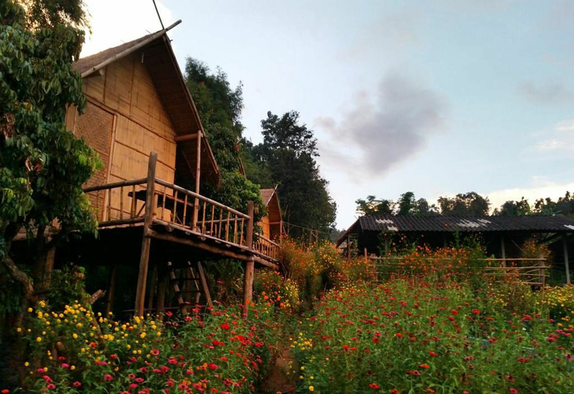 Baan Aingdoi Homestay, Chiang Dao Exterior photo